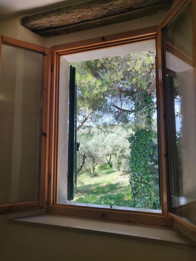 Il Rusticano Chianni Extérieur photo