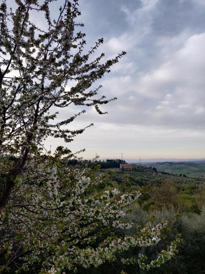 Il Rusticano Chianni Extérieur photo